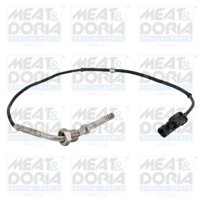 Sensor, exhaust gas temperature